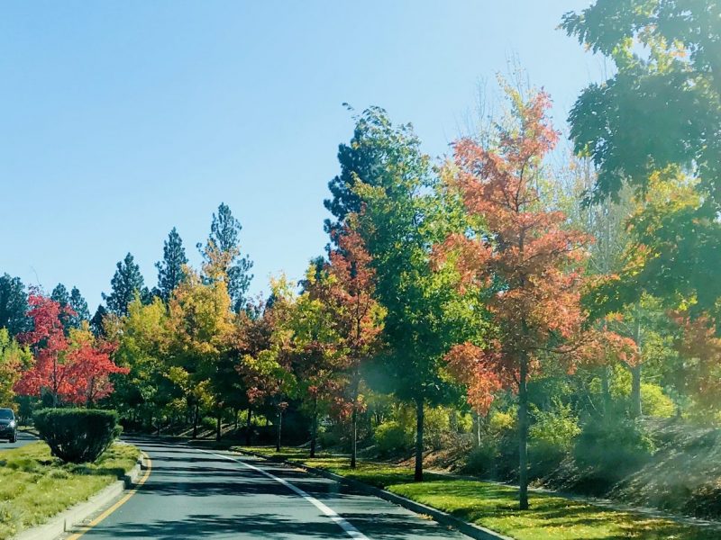 fall colors in bend