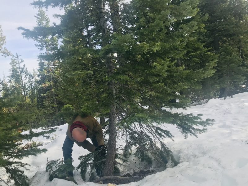 Cutting-Your-Own-Christmas-Tree